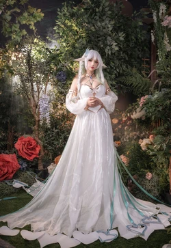 懵懵懵白日梦 - 原神 大慈树王