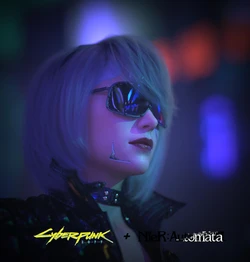 [Dashole] [3D] 2B NieR Perfect
