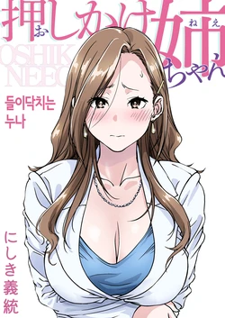 [Pakuchi (Nishiki Yoshimune)] Oshikake Nee-chan | 들이닥치는 누나 [Korean]