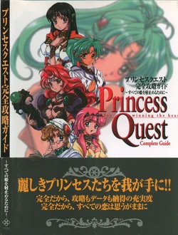 Princess Quest Complete Strategy Guide ~ For Winning the heart of all Princesses ~