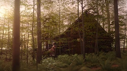 [SloP] Morning In The Woods