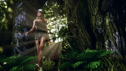 Walking in the forest (MagicHat)