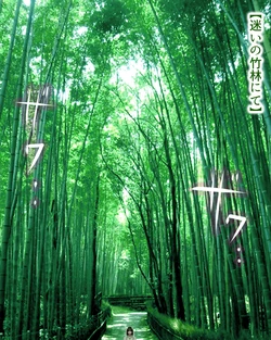 [御政所雅愛（旧オマンガール）] Tewi Inaba Pixiv request(Touhou Project)