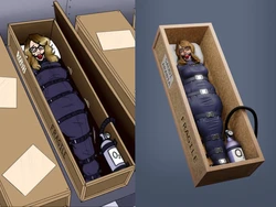 Snadiya Collection 3