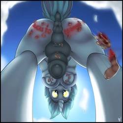 Pony Macro Collection