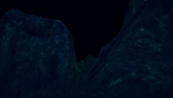 ［kai］迷雾中的森林（预览版）