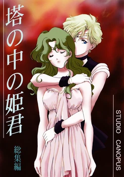 [Studio Canopus (Yamada Mario)] Tou no Naka no Himegimi Soushuuhen (Bishoujo Senshi Sailor Moon)
