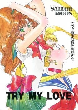 [HELLO WORLD (Muttri Moony)] TRY MY LOVE (Bishoujo Senshi Sailor Moon)