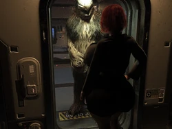 Bo-Katan and Wookiee