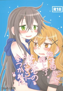 (C93) [ROUTE885 (Hachiwulf)] Hanazono Usagi ni Natsukareta. | 被花园小兔缠上了。 (BanG Dream!) [Chinese] [R6m个人汉化]