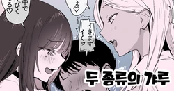 [Poriuretan] 2-shu no Gal | 두 종류의 갸루 [Korean]