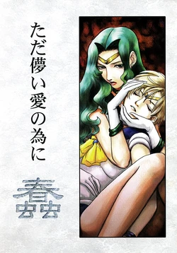 [Bisuguri no Sekai (Tanaka Bisuko)] Tada Hakanai Ai no Tameni (Bishoujo Senshi Sailor Moon)