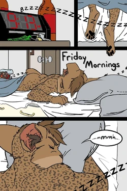 black kitten - Mornings -color