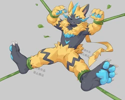 [Joeyz廖糖/Joeyzliaotang] 捷拉奥拉