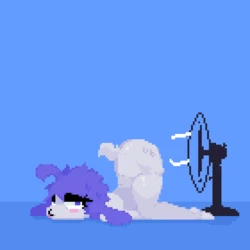 Vunnbunn Patreon Pics and GIFS