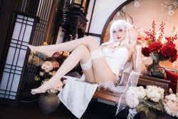 瓜希酱 阿尔比恩旗袍