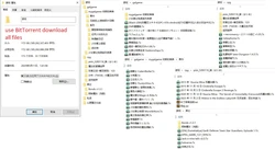 collect games 172GB use BitTorrent download all files