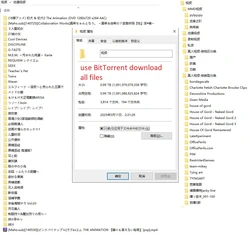 collect videos 0.99TB use BitTorrent download all files