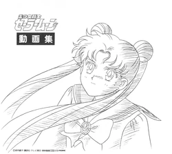 [Toei Animation] Bishoujo Senshi Sailormoon Dougashuu (Bishoujo Senshi Sailor Moon)