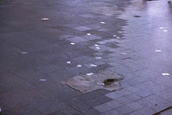 日奈娇 - 一日女友