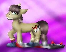 [Koekoek19] Watch Where You Step