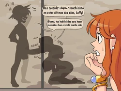 [A-Gal] Not so Stealthy Affairs (One Piece) (Español)
