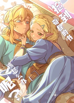 [Haidan] What should you do if you find a strange book? (The Legend of Zelda: Tears of the Kingdom) [Chinese] [Digital]