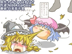[ゆっくり] [NsbbKs] 蕾米是麻里沙