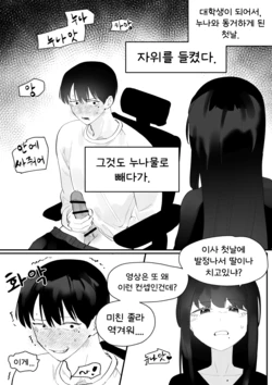 [MIRAMERA] Do-chak NamMae TS | 도착남매 TS [Korean]