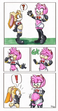 [KillBoo] Pokemon DX: Team Rose