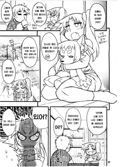 (C87) [Mayoineko (Nakagami Takashi)] Untitled (Kemokko Lovers 5) [Korean]