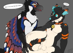 [Kaptcha] Hey There Pretty Bird