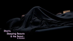 Blankken Shorts: Sleeping Beauty and the Beast