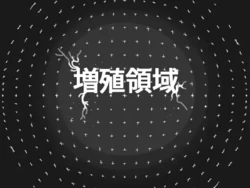 [19kome] Zoushoku Ryouiki