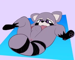 [MehTrashyCoon] Rambley Raccoon Doodles