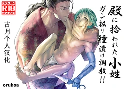 Cover Image