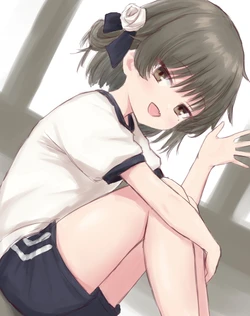 Pixiv&gelbooru——Non-H collections 203