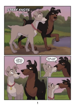 [Ekayas] Stray Knots