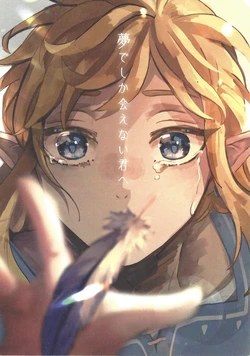 [Karafuru (Uneko)] Yumede shika aenai kimi e (Legend of Zelda)
