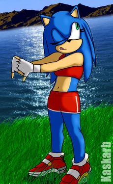 [KaskarB] Tails x Female Sonic