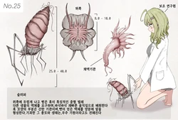 [Gura] Insect Research Report No.25 | 벌레 연구 보고서 No.25 [Korean]