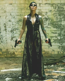 Alex Zedra - Trinity