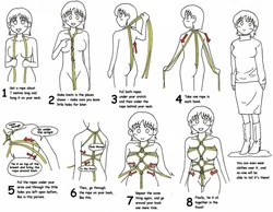 Rope Bondage Ties