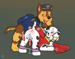 [Various Artists] Paw Patrol
