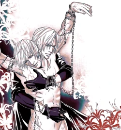 [Amethyst(Yagami Ayame)]Image Set (Devil May Cry) [Chinese]