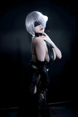 古阿扎 - 尼尔 寄叶2号B型