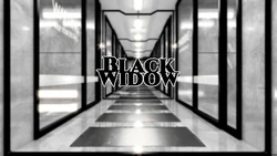 [Cyber Captain] Black Widow - Chapter 2 Pt1 - Imprisoned
