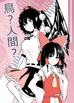 (Kouroumu 18) [Shimerike (Datam)] Tori? Ningen? | 鸟?人类? (Touhou Project) [Chinese]