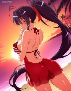 18animegirls - (T2/T3/145p) Akeno Himejima (姫島 朱乃) + Issei Hyoudou (兵藤 一誠) | red bikini (Patreon) [AI Generated]