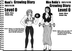 [E19700] Nico Robin's growing diaries